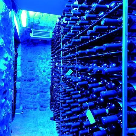 酒店 阿维利隆琦公寓式酒店
