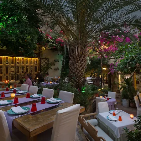 Avli Lounge 4*